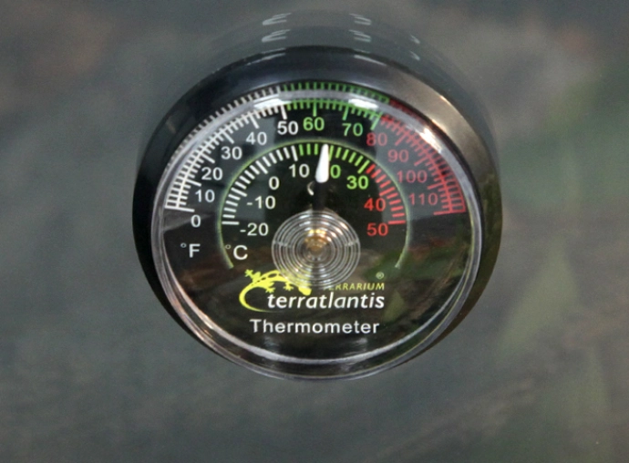 Analogical thermometer