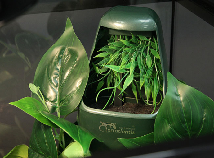 Reptile Drinking Fountain and Humidifier