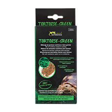 TORTOISE-GREEN